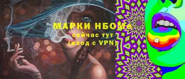 гашик Алексеевка
